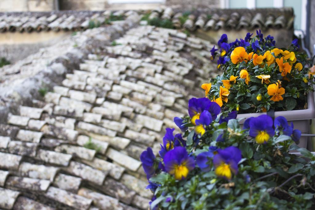 Le Violette Villa Matera Exteriör bild